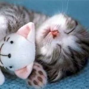 Meet your Posher, Ance